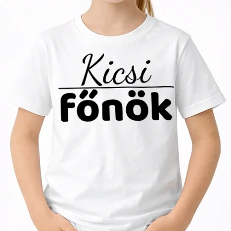 Uniszex gyerek Póló - Kicsi Fönök - Családi minta 1/3 - Gyereknek