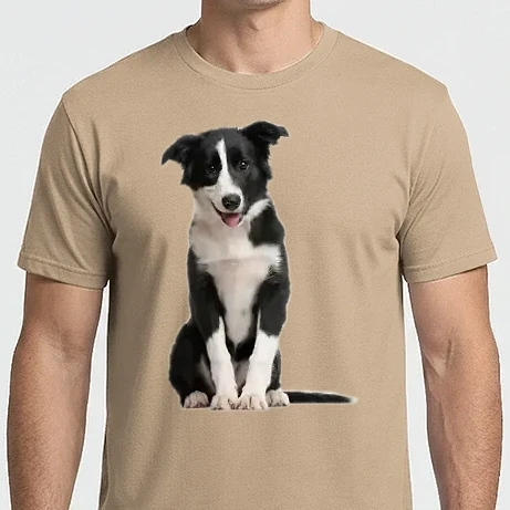Férfi Imperial póló - Border Collie kutya