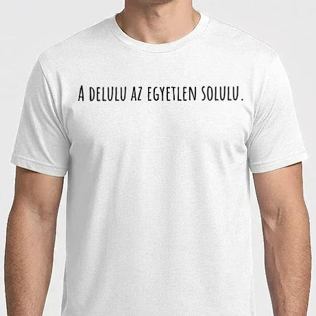 Férfi Imperial póló - A delulu az egyetlen solulu.