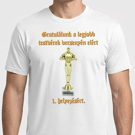 Férfi Imperial póló - Legjobb fiútestvér