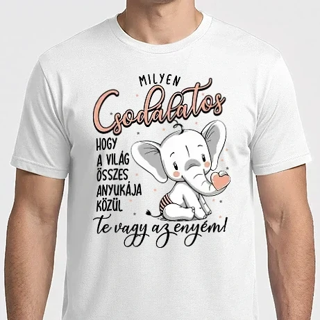 Férfi Imperial póló - Milyen csodálatos