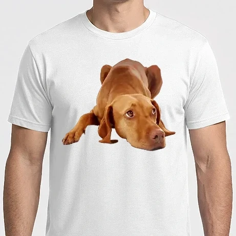 Férfi Imperial póló - Vizsla