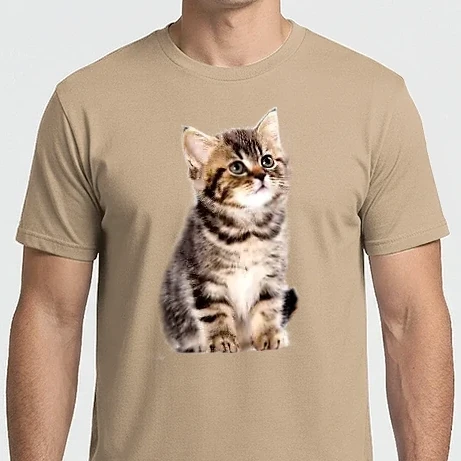 Férfi Imperial póló - Kis cica