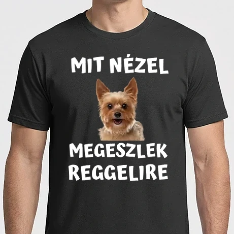 Férfi Imperial póló - MIT NÉZEL