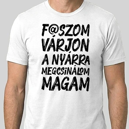 Férfi Alap póló - F@szom várjon a nyárra