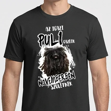 Férfi Imperial póló - Puli november
