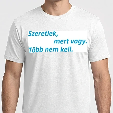 Férfi Imperial póló - polo2