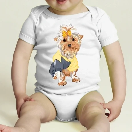 Baba body - Yorkshire Terrier