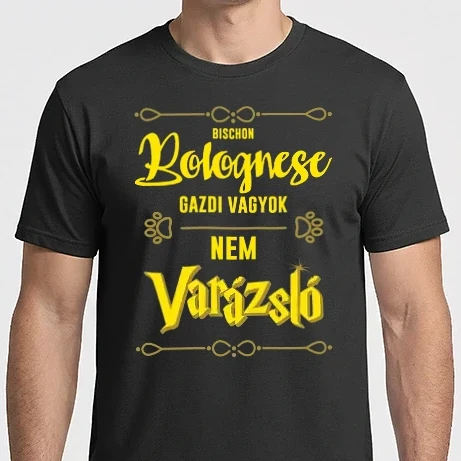 Férfi Imperial póló - Gazdi vagyok nem varázsló artboard Bolognese