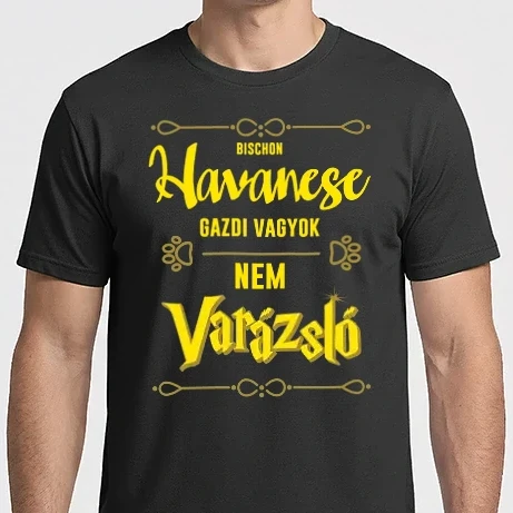 Férfi Imperial póló - Gazdi vagyok nem varázsló artboard Havanese