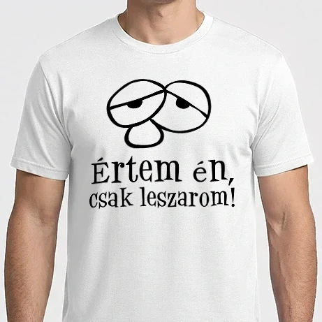 Férfi Imperial póló - Értem én, csak leszarom