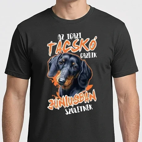 Férfi Imperial póló - Tacskó Júniusban