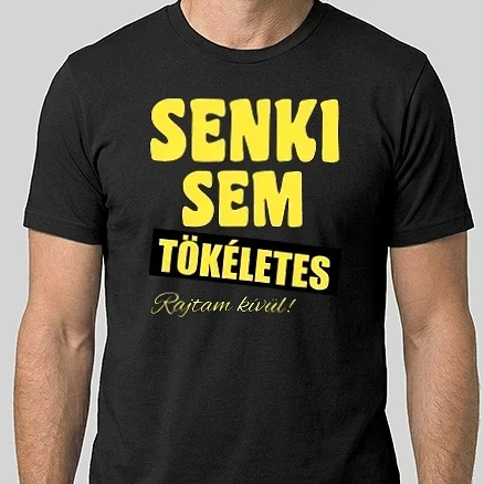 Férfi Alap póló - Senki sem tökéletes rajtam kívül!