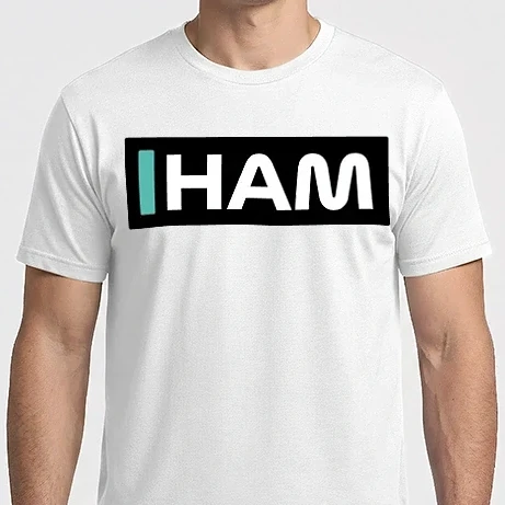 Férfi Imperial póló - Lewis Hamilton - Mercedes