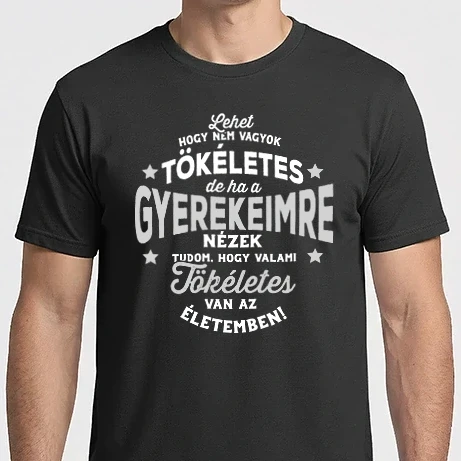 Férfi Imperial póló - Lehet hogy nem vagyok tökéletes 