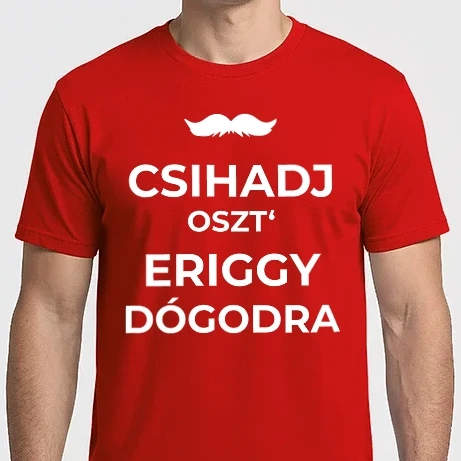Férfi Imperial póló - CSIHADJ BÁSTYA