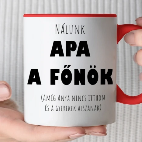 Színes bögre - apa a főnök bögre