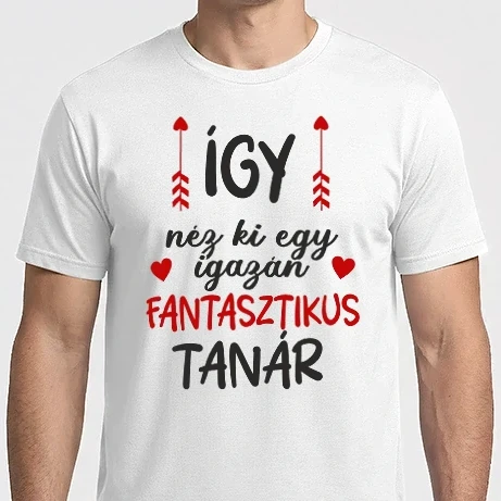 Férfi Imperial póló - Így néz ki egy igazán fantasztikus tanár