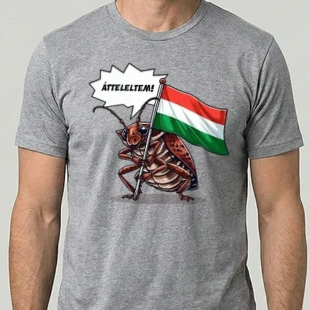 Férfi Alap póló - Átteleltem! (poloska)