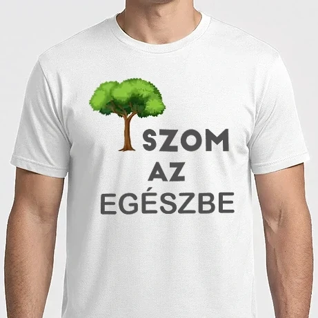 Férfi Imperial póló - Faszom az egészbe