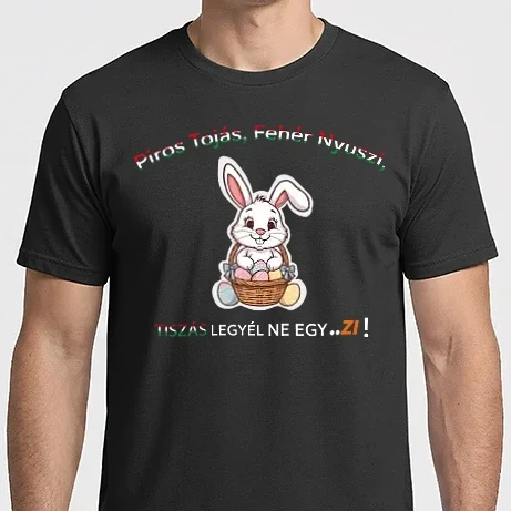 Férfi Imperial póló - Húsvét Politika (Black)