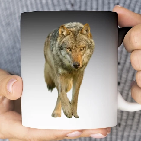 Varázs Bögre - dog-black-wolf