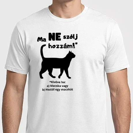 Férfi Imperial póló - Ma ne szólj hozzám! *Kivéve, ha macska vagy