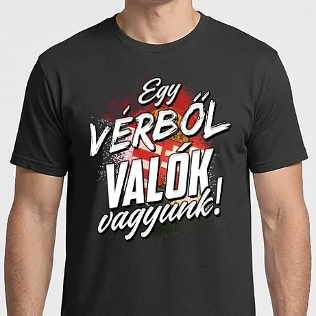 Férfi Imperial póló - Egy vérből valók vagyunk