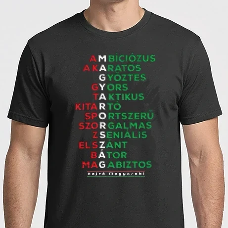 Férfi Imperial póló - Futball EB 2024 Mozaikszavak