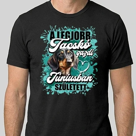 Férfi Alap póló - A legjobb tacskó gazdi júniusban született