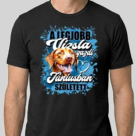 Férfi Alap póló - A legjobb vizsla gazdi júniusban született