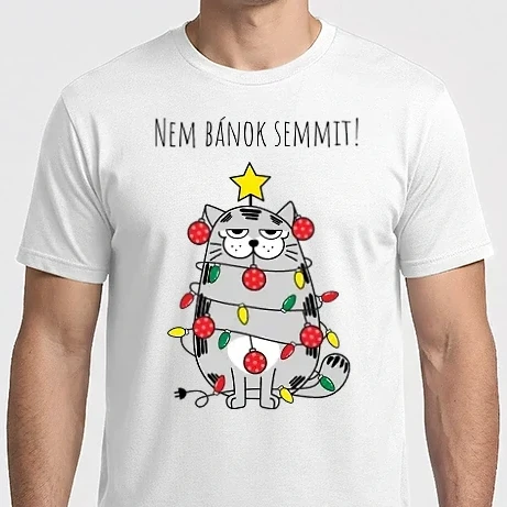 Férfi Imperial póló - Nem bánok semmit!