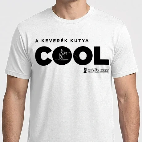 Férfi Imperial póló - COOL