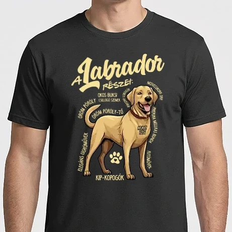 Férfi Imperial póló - LABRADOR részei