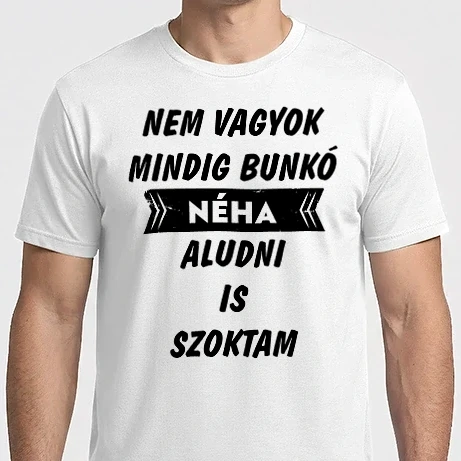 Férfi Imperial póló - Nem vagyok mindig bunkó
