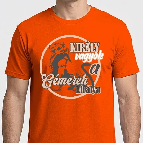Férfi Imperial póló - király vagyok gémer