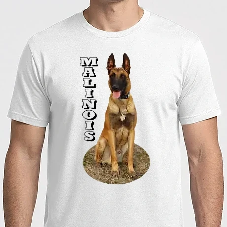 Férfi Imperial póló - Malinois in ellips