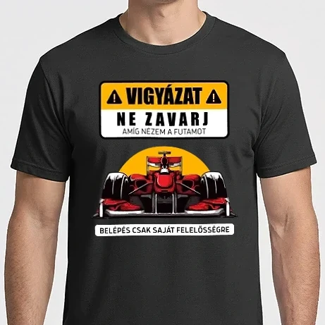 Férfi Imperial póló - Forma 1 NE ZAVARJ AMÍG NÉZEM A FUTAMOT FORMA1