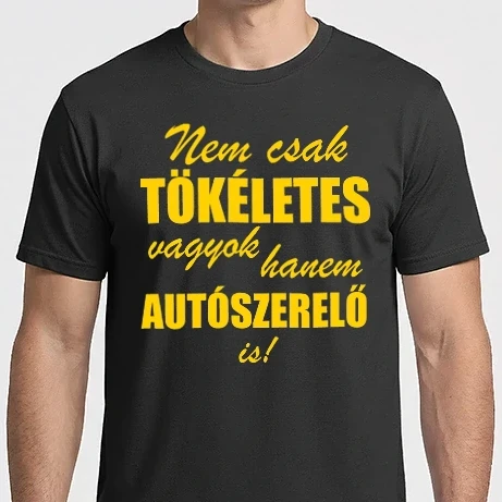 Férfi Imperial póló - Tökéletes autószerelő