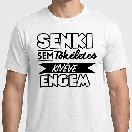 Férfi Imperial póló - Senki sem tökéletes