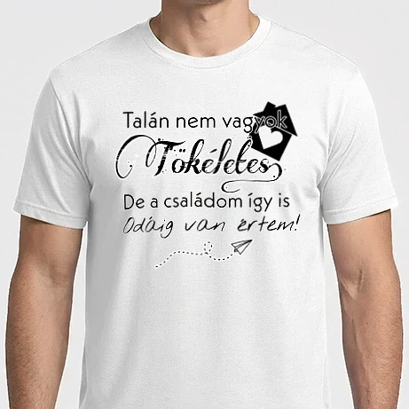Férfi Imperial póló - Talán nem vagyok tökéletes, de a családom így is odáig van értem!