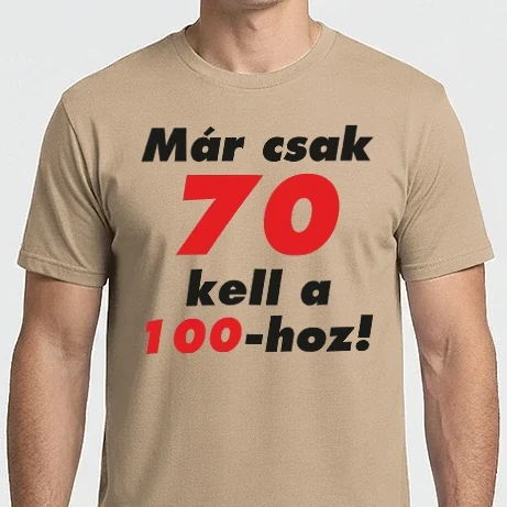 Férfi Imperial póló - 100 - 70 = 30