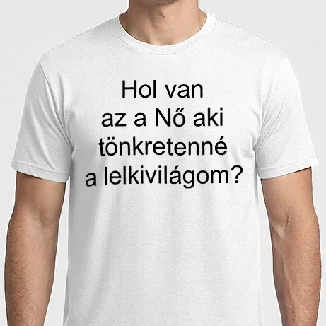 Férfi Imperial póló - Hol van. fekete