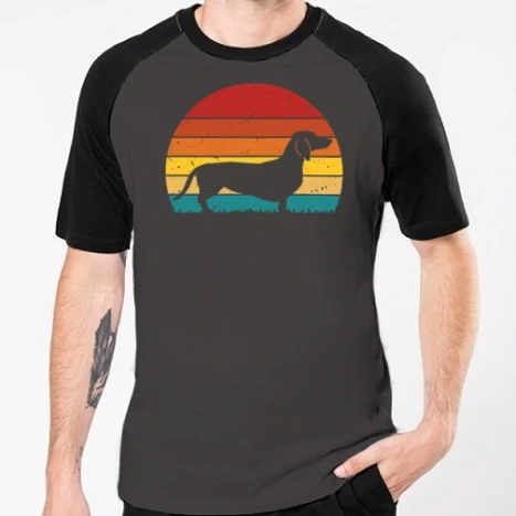 Férfi Baseballpóló - Retro tacsi