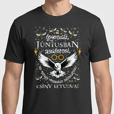 Férfi Imperial póló - Csíny letudva szülinapos Június