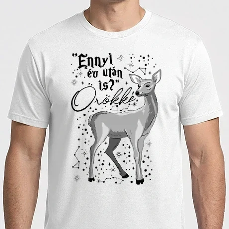 Férfi Imperial póló - Harry Potter Valentin