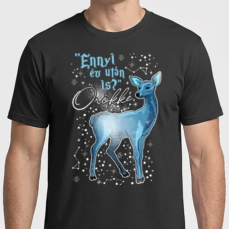 Férfi Imperial póló - Harry Potter Valentin