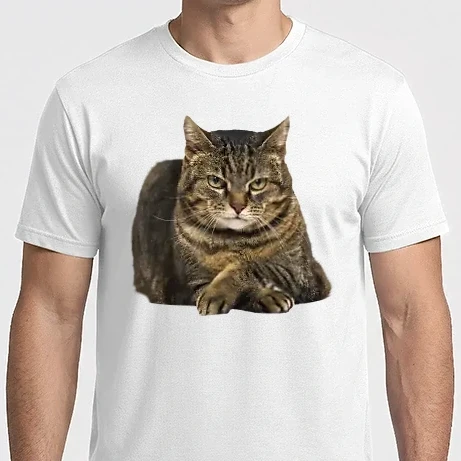 Férfi Imperial póló - Cica