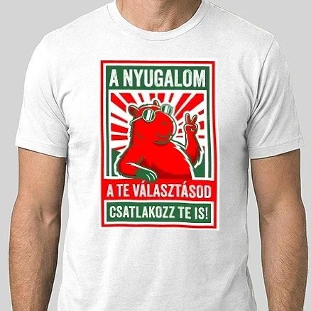Férfi Alap póló - Válaszd a nyugalmat!