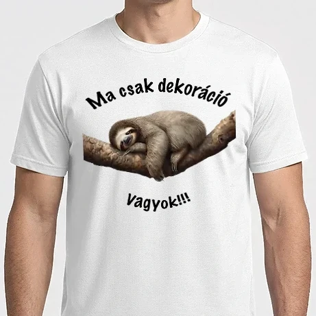 Férfi Imperial póló - ma csak dekoráció vagyok